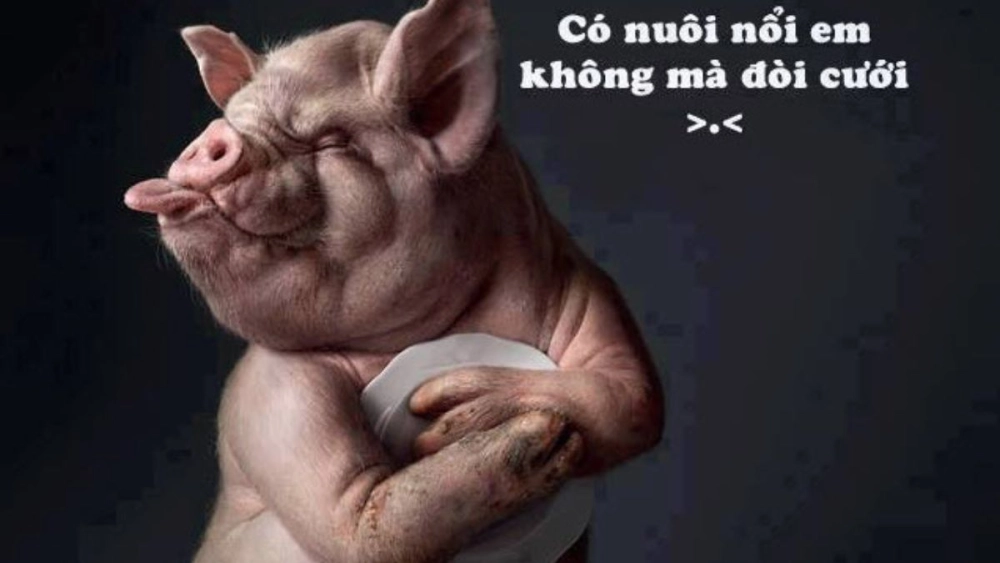 Enjoy funny anime images with funny anime memes