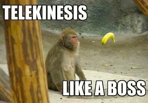 A funny take on the gen z vs millennial boss meme