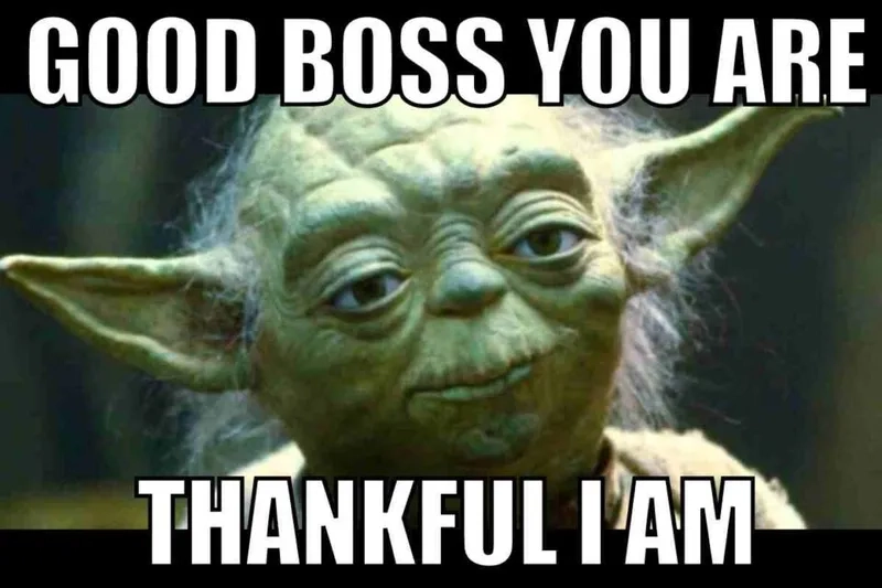 A hilarious gen z vs millennial boss meme