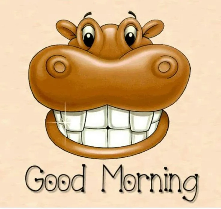 Share this positive good morning meme for good vibes