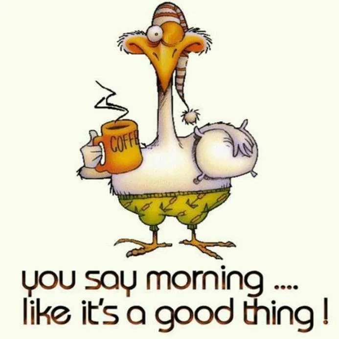 A funny good morning meme to start your day with a laugh