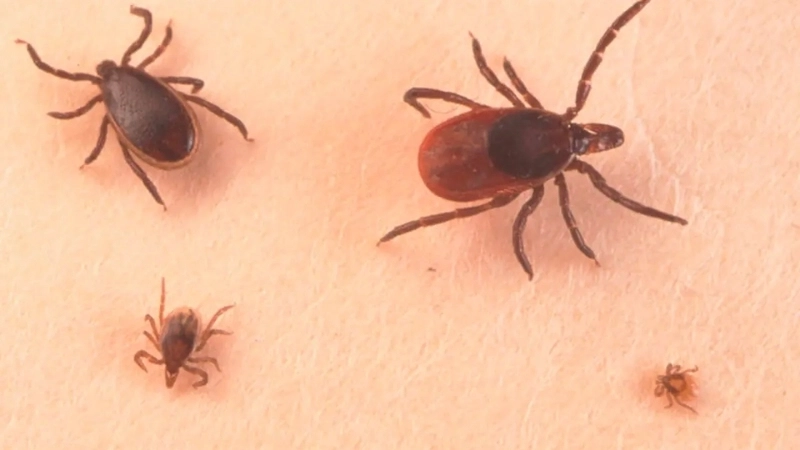 Heartland Virus Disease reported in virus cases