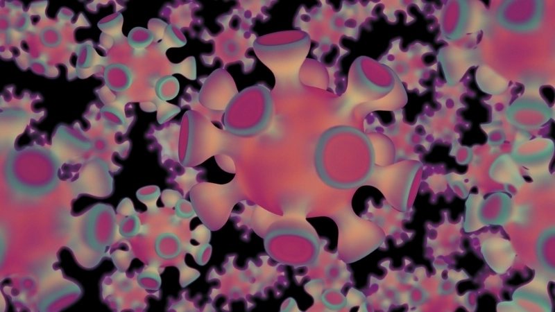 Simple tips for HFRS prevention today