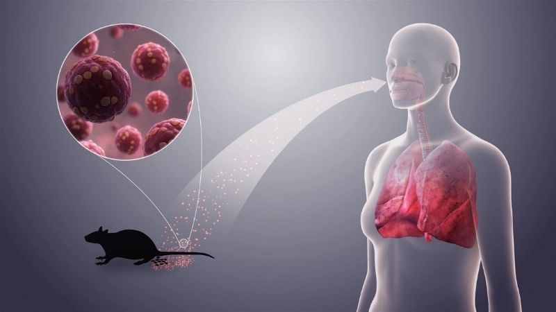 Know Hantavirus Pulmonary Syndrome (HPS) and HFRS
