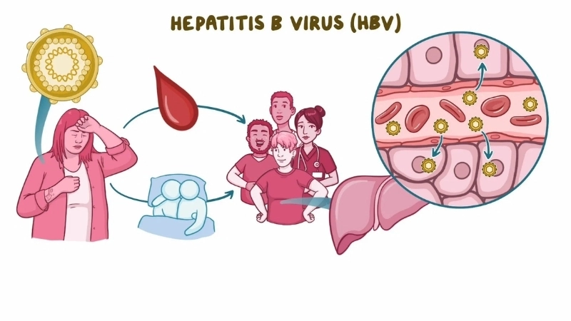 Hepatitis B vaccine for protection