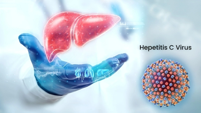 Hepatitis C transmission ways you must know