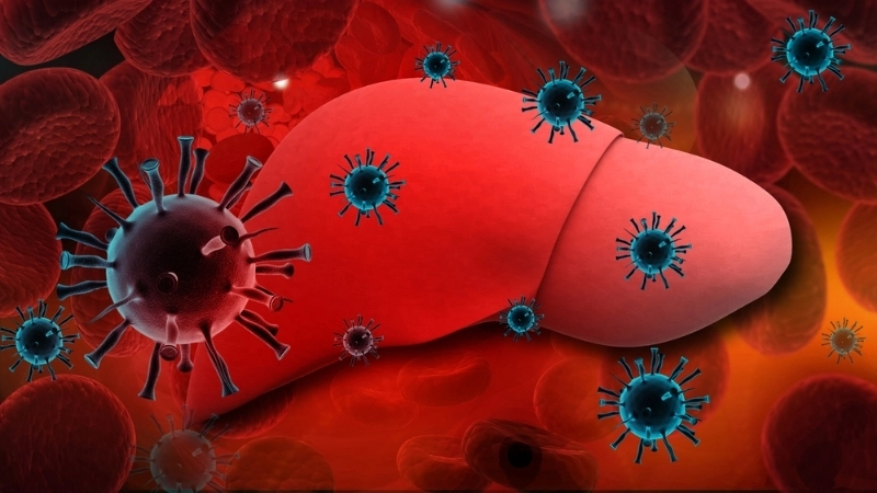 Hepatitis C testing with HCV RNA guide