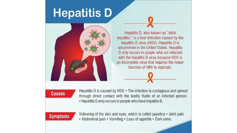Hepatitis D treatment with Hepatitis D focus