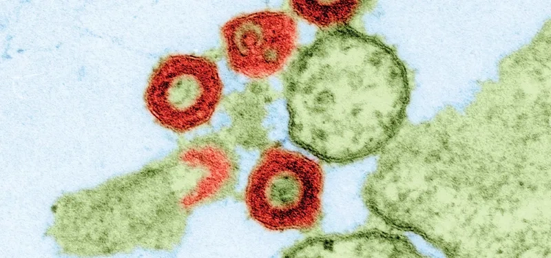 Key symptoms of human bocavirus infection to watch for