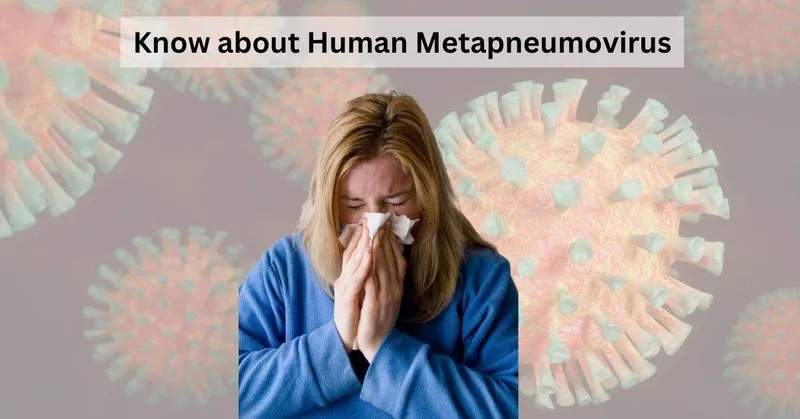  Learn how is human metapneumovirus contagious