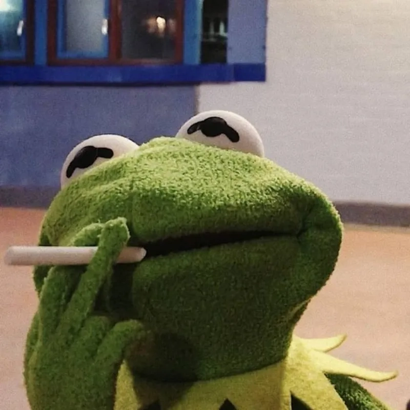 A relatable sad kermit meme moment