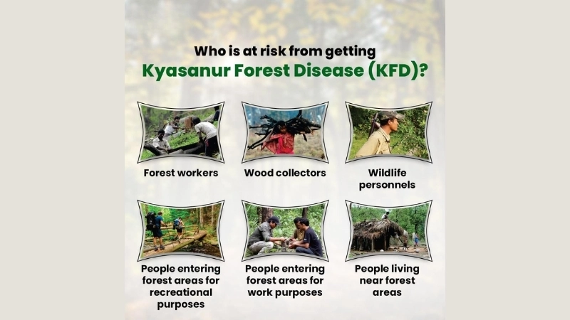 KFD prevention includes vaccines and avoiding ticks