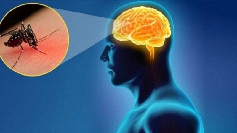 Understand symptoms of La Crosse virus infection