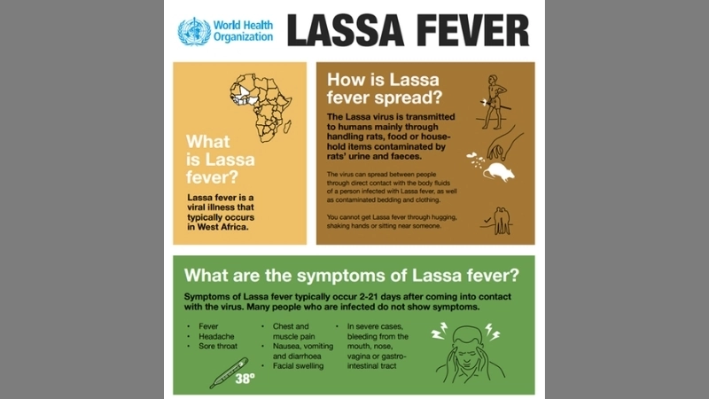 Explore effective Lassa fever treatment options today