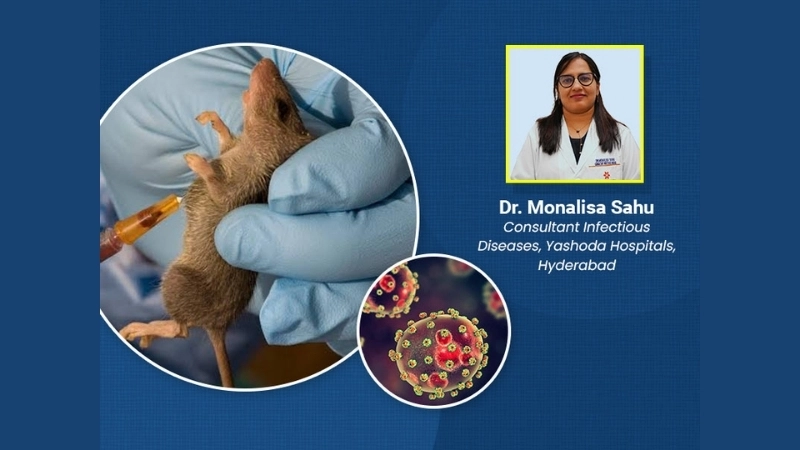 Stay alert to current Lassa fever outbreak news