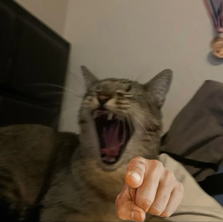 The origin of the laughing hyenas meme