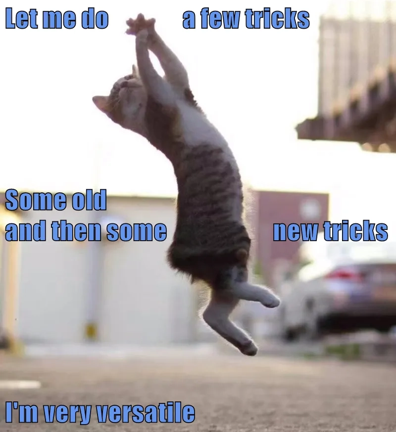 The original eric andre gate meme in all its chaotic glory