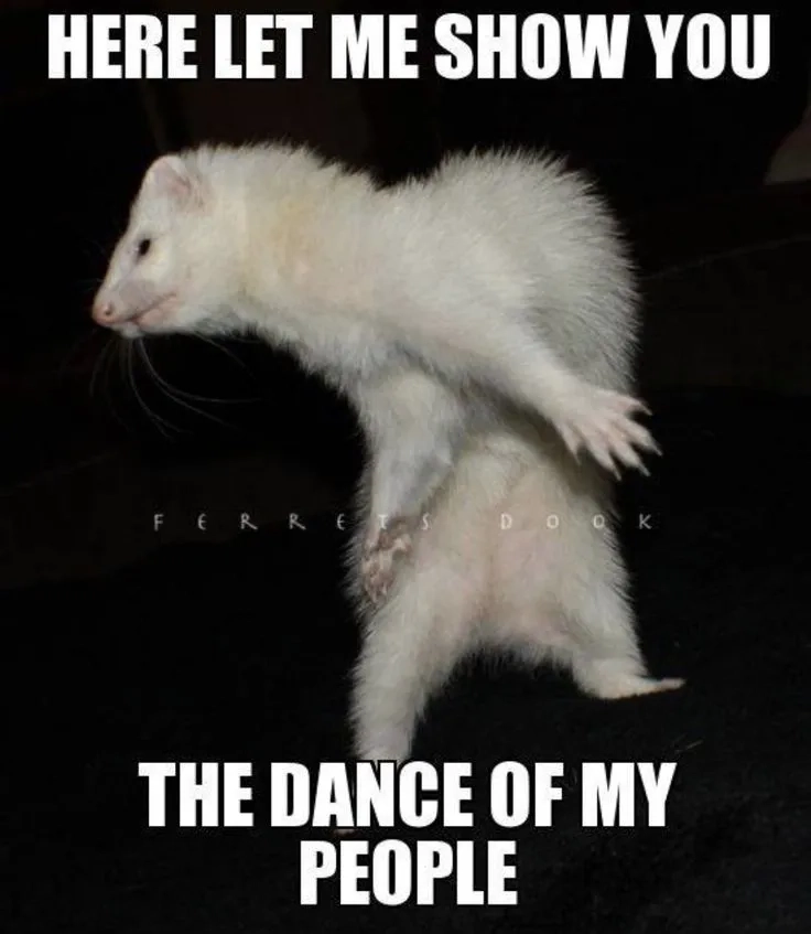 The desperation in the eric andre meme