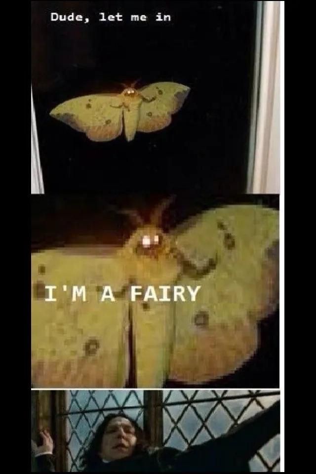 The perfect let me in gif reaction