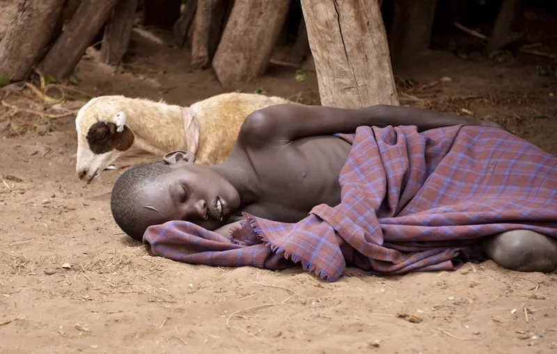 The complex malaria life cycle explained