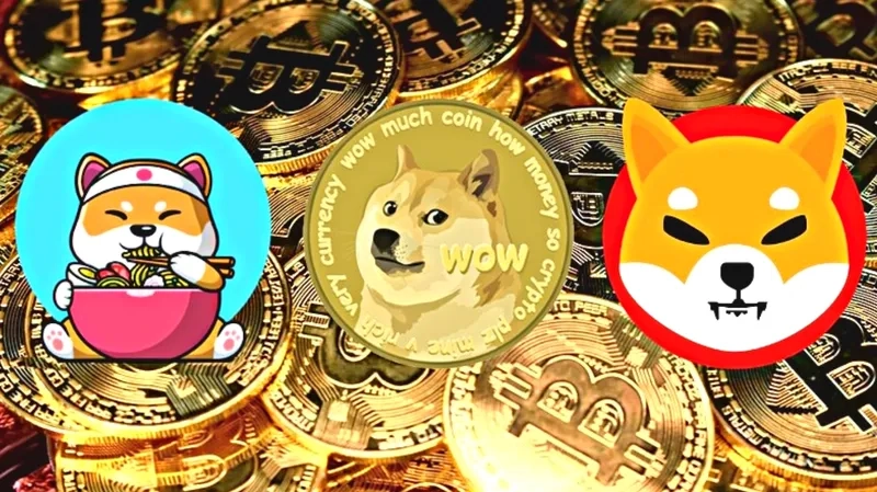 The emotional rollercoaster of a meme coin investor