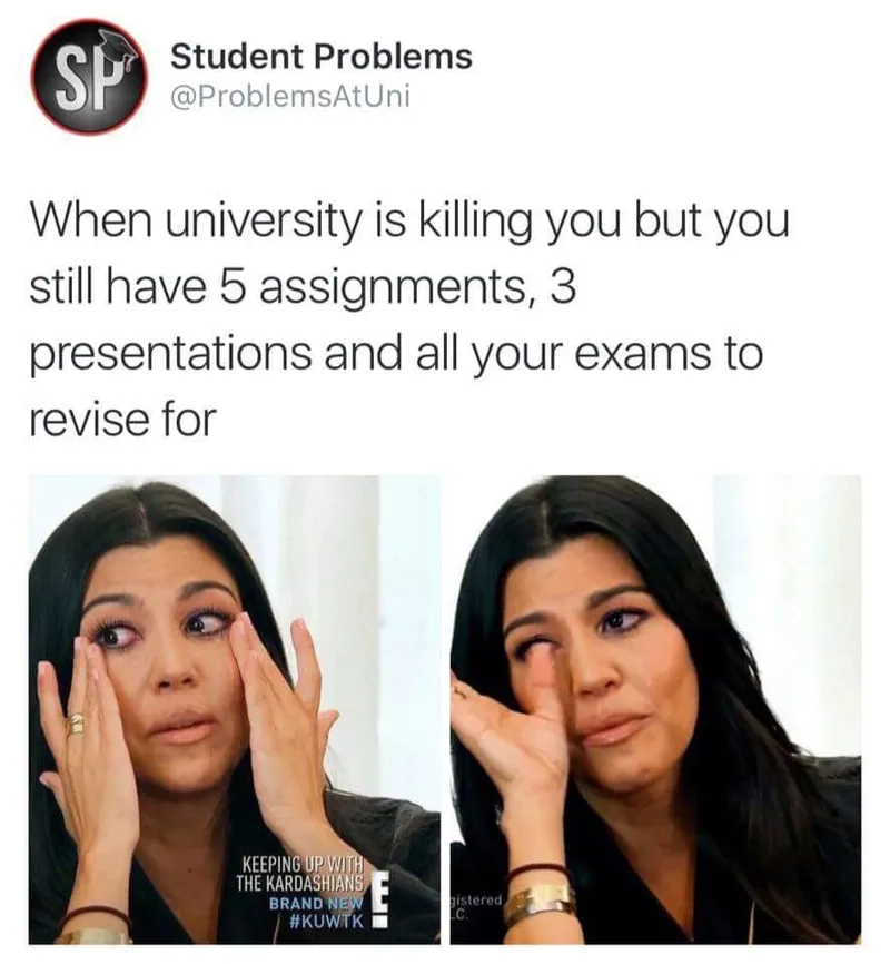 The universal feeling captured in university memes