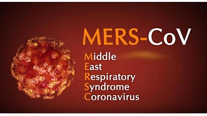 How is Middle East respiratory syndrome transmitted from animals