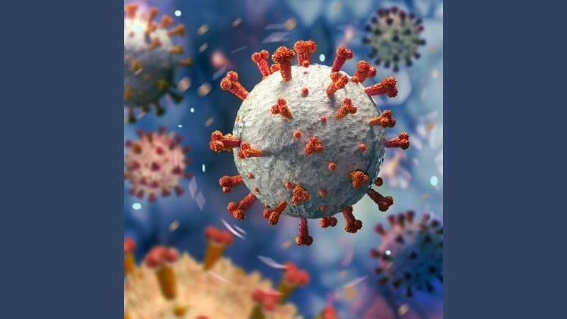 A micrograph of the Middle East respiratory syndrome coronavirus