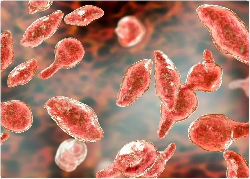 The Process of Mycoplasma genitalium Testing