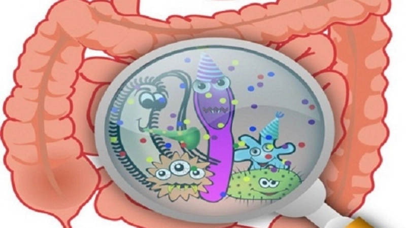 Is norovirus contagious learn via Norovirus Infection facts