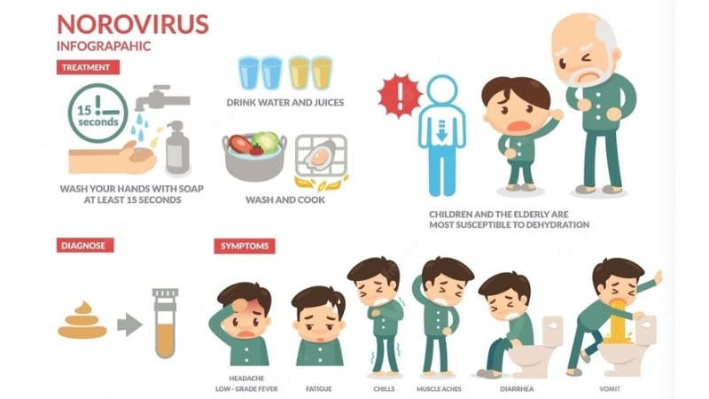 Timeline: how long does norovirus last