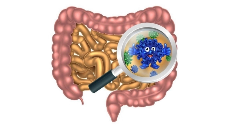 Fact check: is norovirus contagious