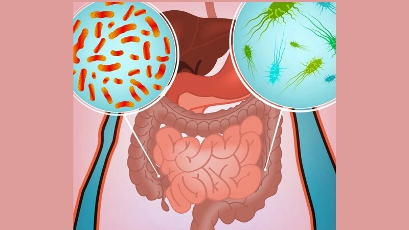 Tips for norovirus prevention against Norovirus Infection