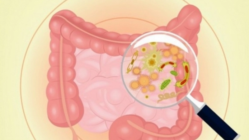 Norovirus duration explained in Norovirus Infection cases