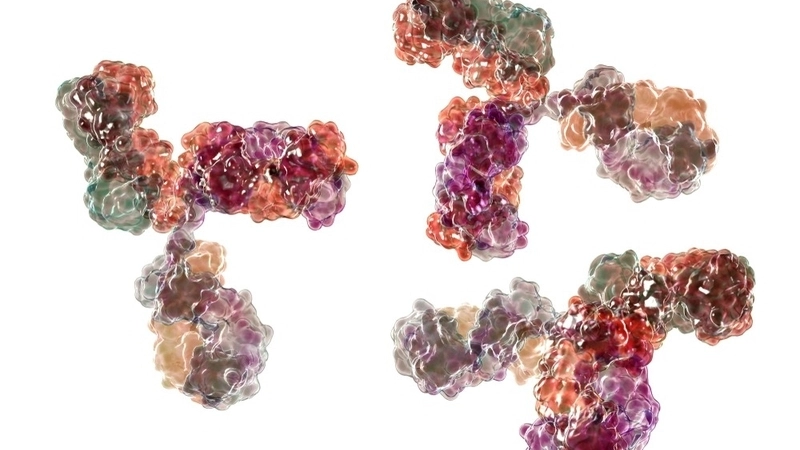 O'nyong'nyong Fever prevention tips for daily life