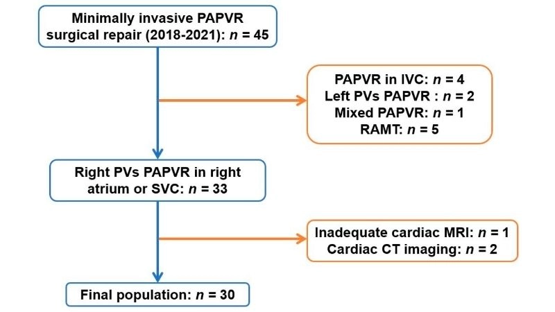 Partial anomalous pulmonary venous return in children care