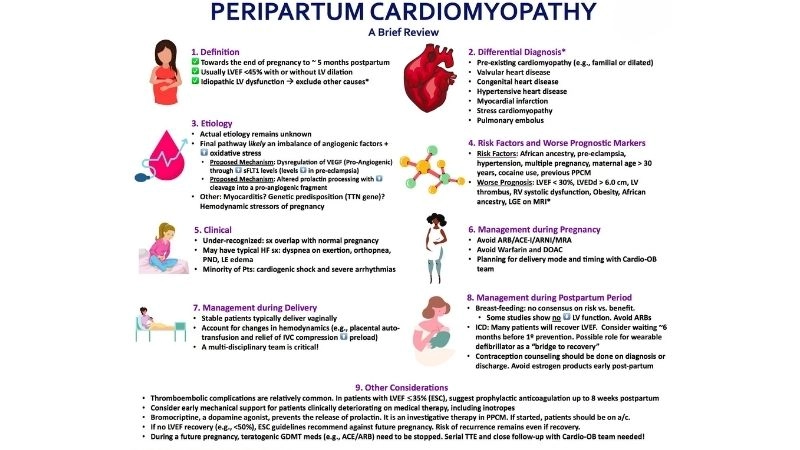 Postpartum cardiomyopathy treatment for faster heart recovery