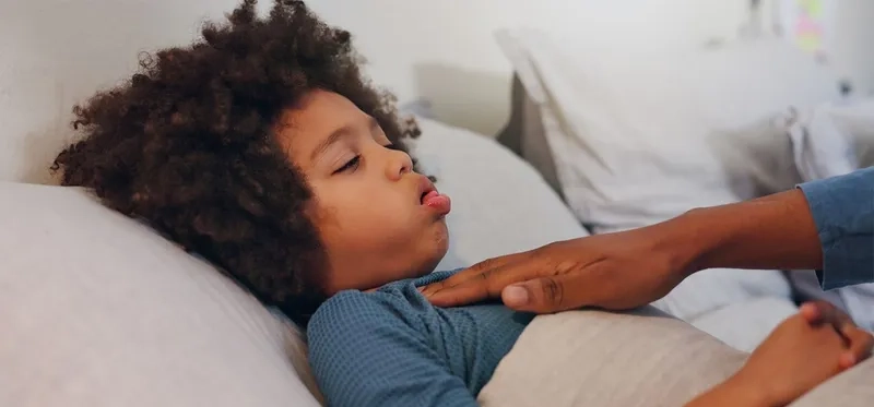 Prescribed antibiotics for pertussis treatment