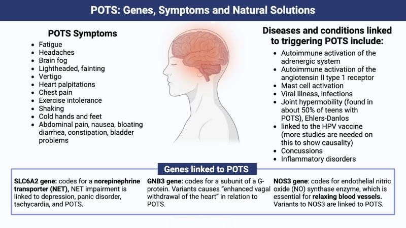 POTS And Dysautonomia linked with nervous system issues