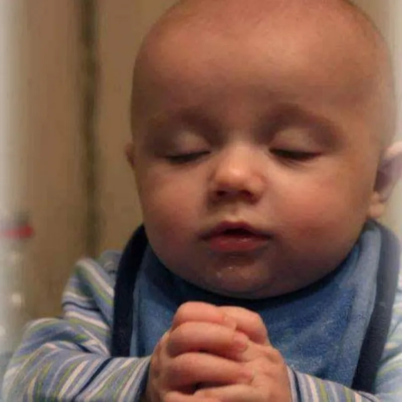 A desperate i'm begging you meme clip