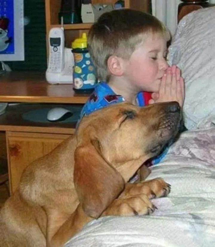 The grateful DJ Khaled praying meme