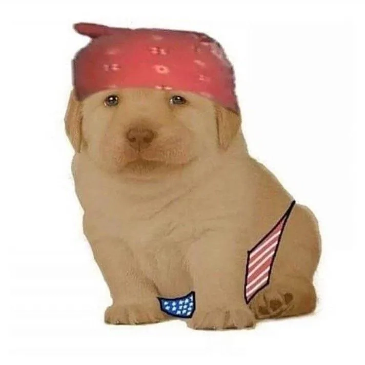 How the quieres hand meme became famous