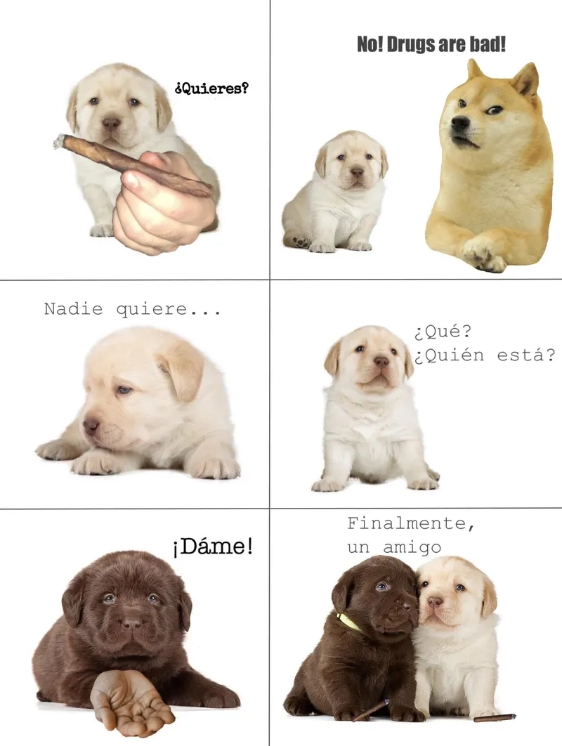 Trending quieres tiktok video