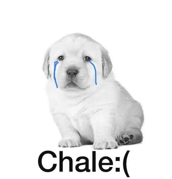 The pufferfish from the quieres meme