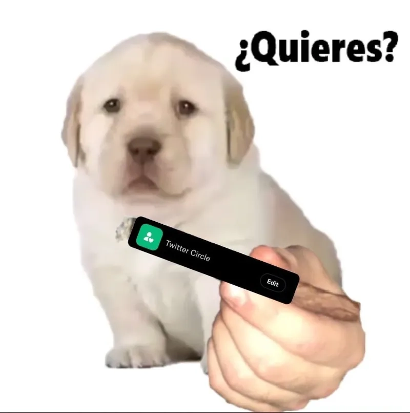 Diving into the quieres meme origin story