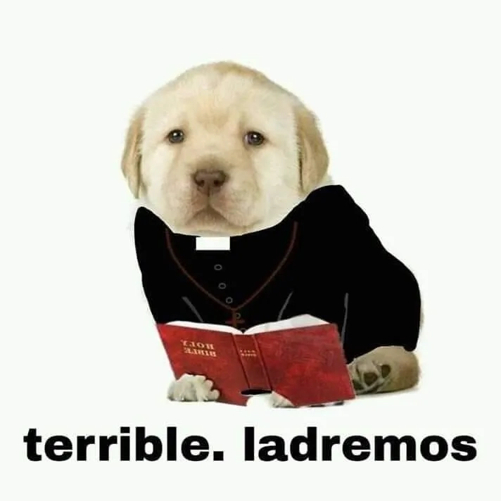 Unpacking the simple quieres meaning