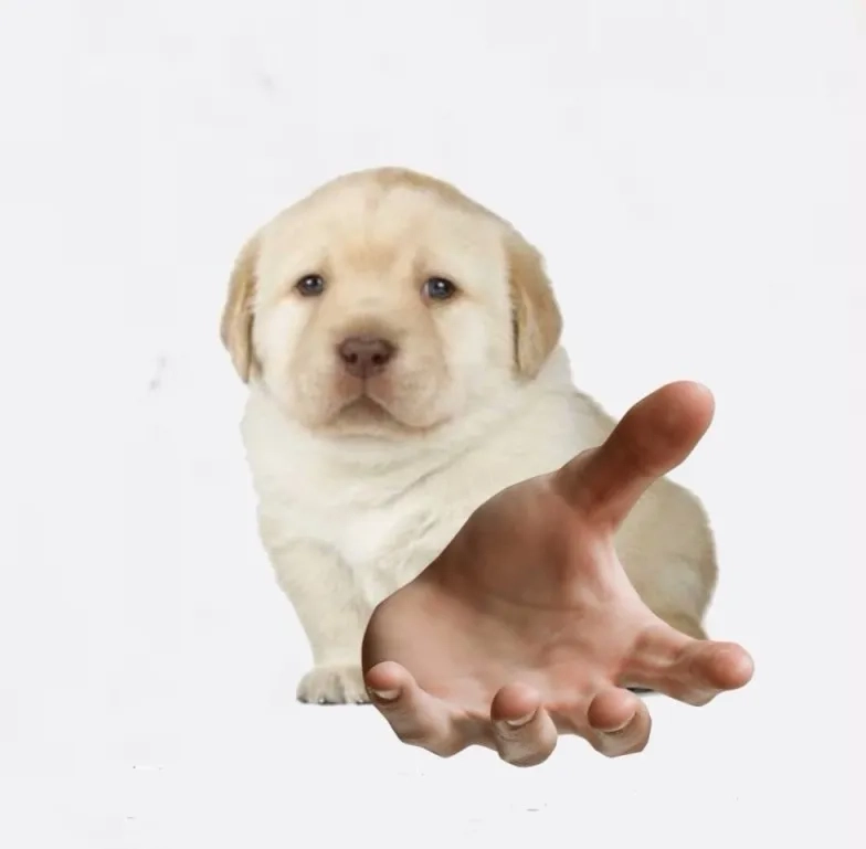 What is the quieres meaning exactly