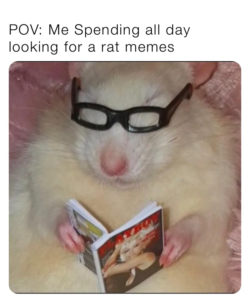 When you need a giant rat meme to express how you feel