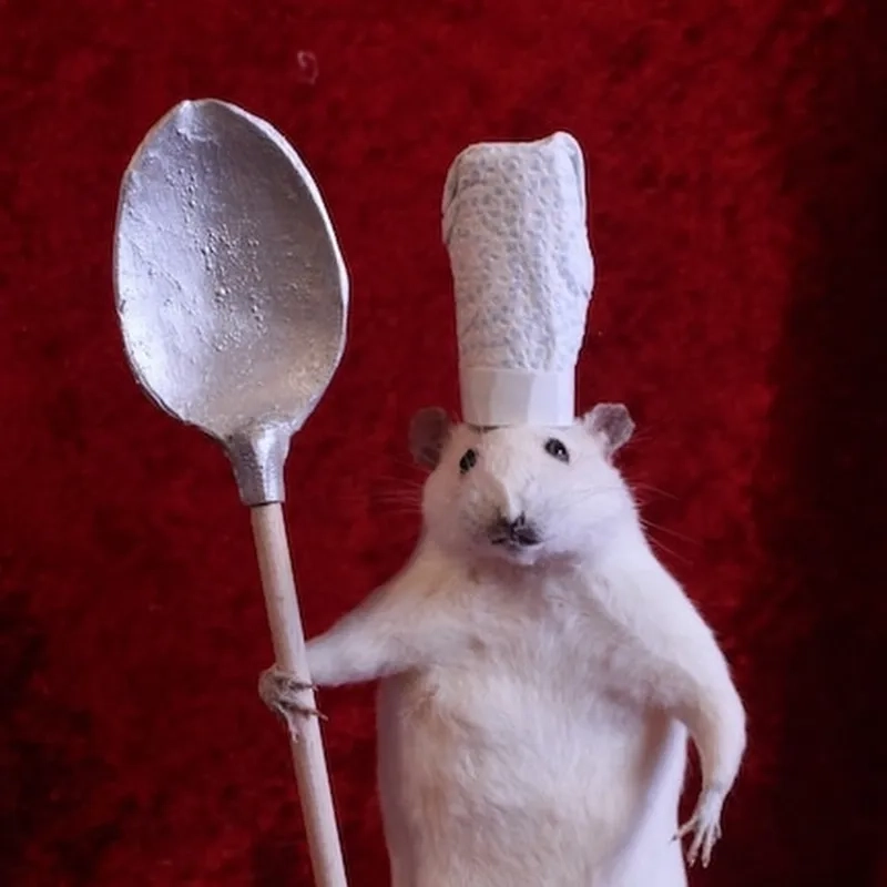 For the aspiring cook, a rat chef meme