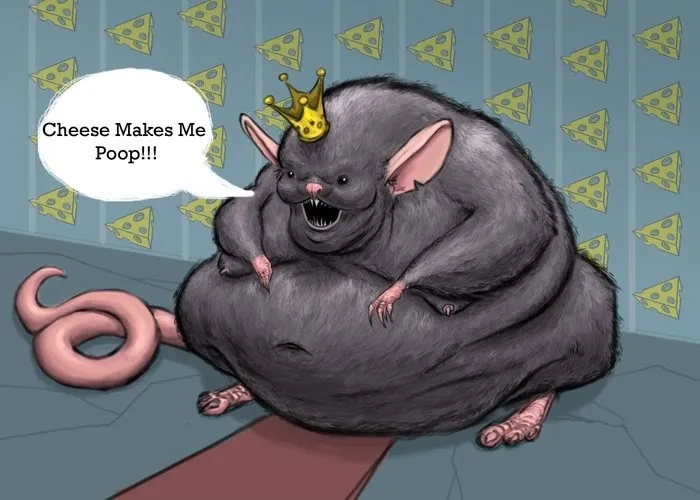 Capturing the city with the new york rat meme